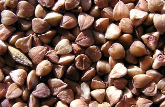 Buckwheat nucleus